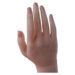 Articulated Finger Joints